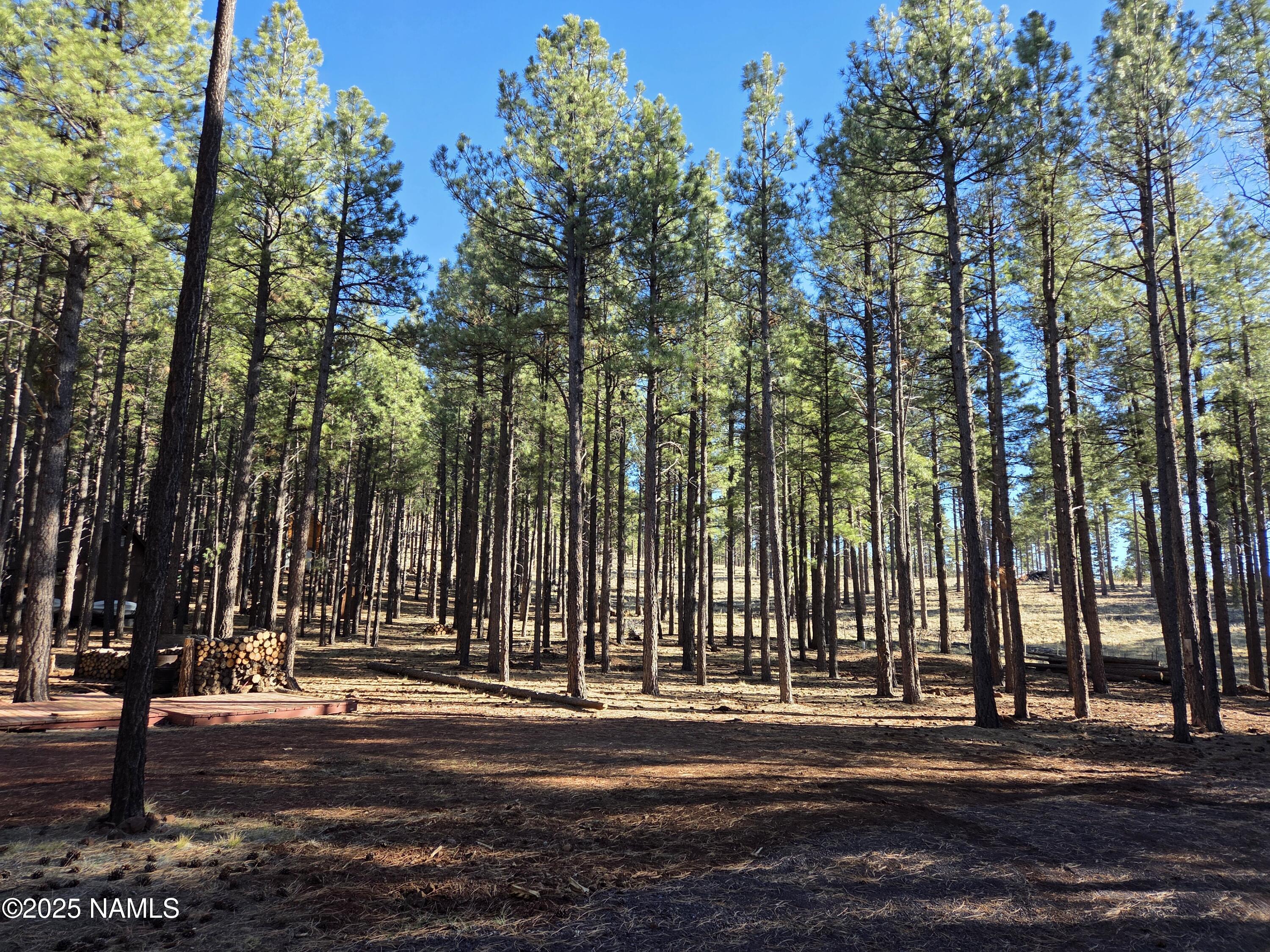 a view of outdoor space with street view