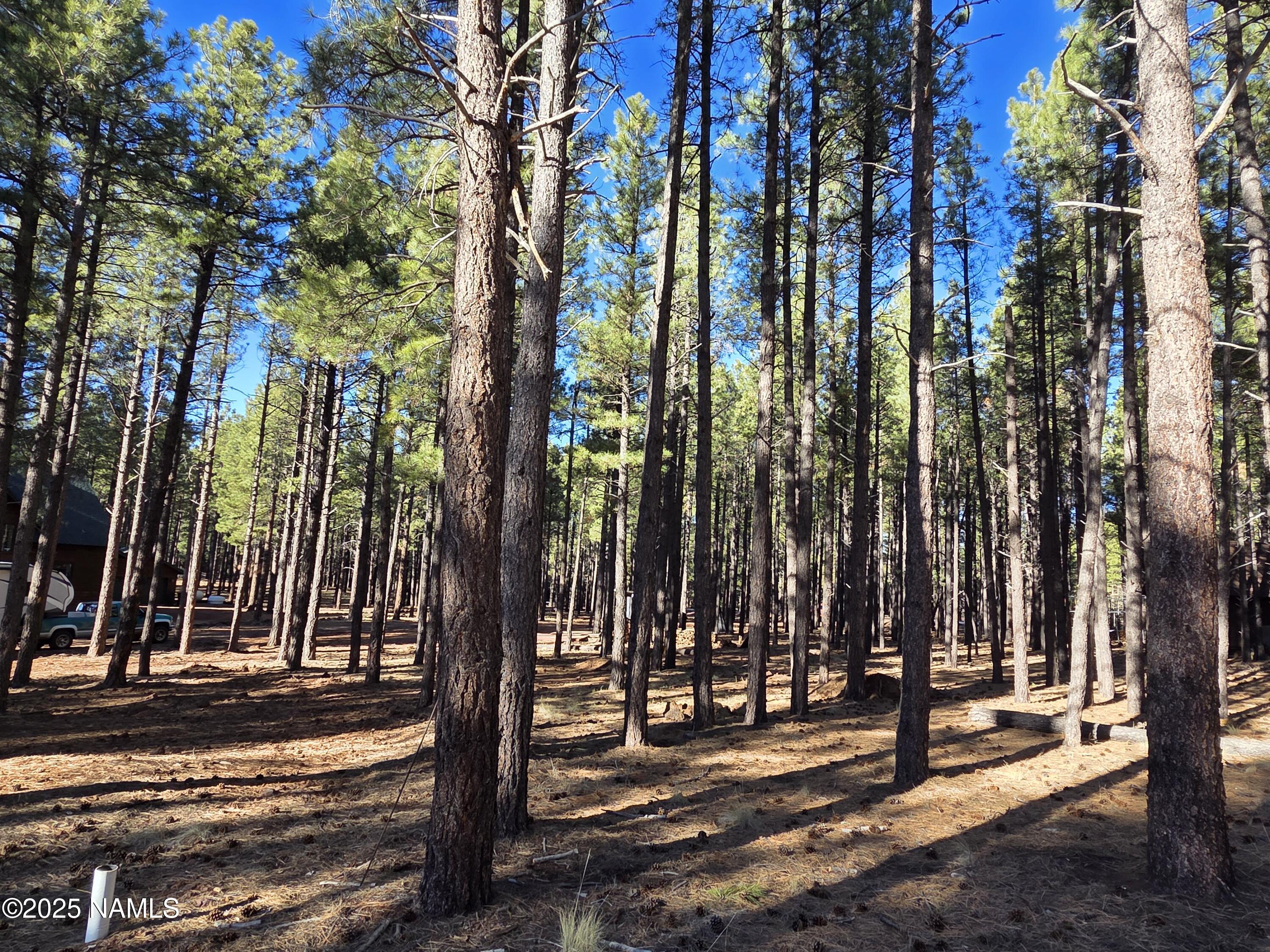 13398 Fallow Deer Road Parks, AZ 86018 - Photo 13 of 32 View From Forest