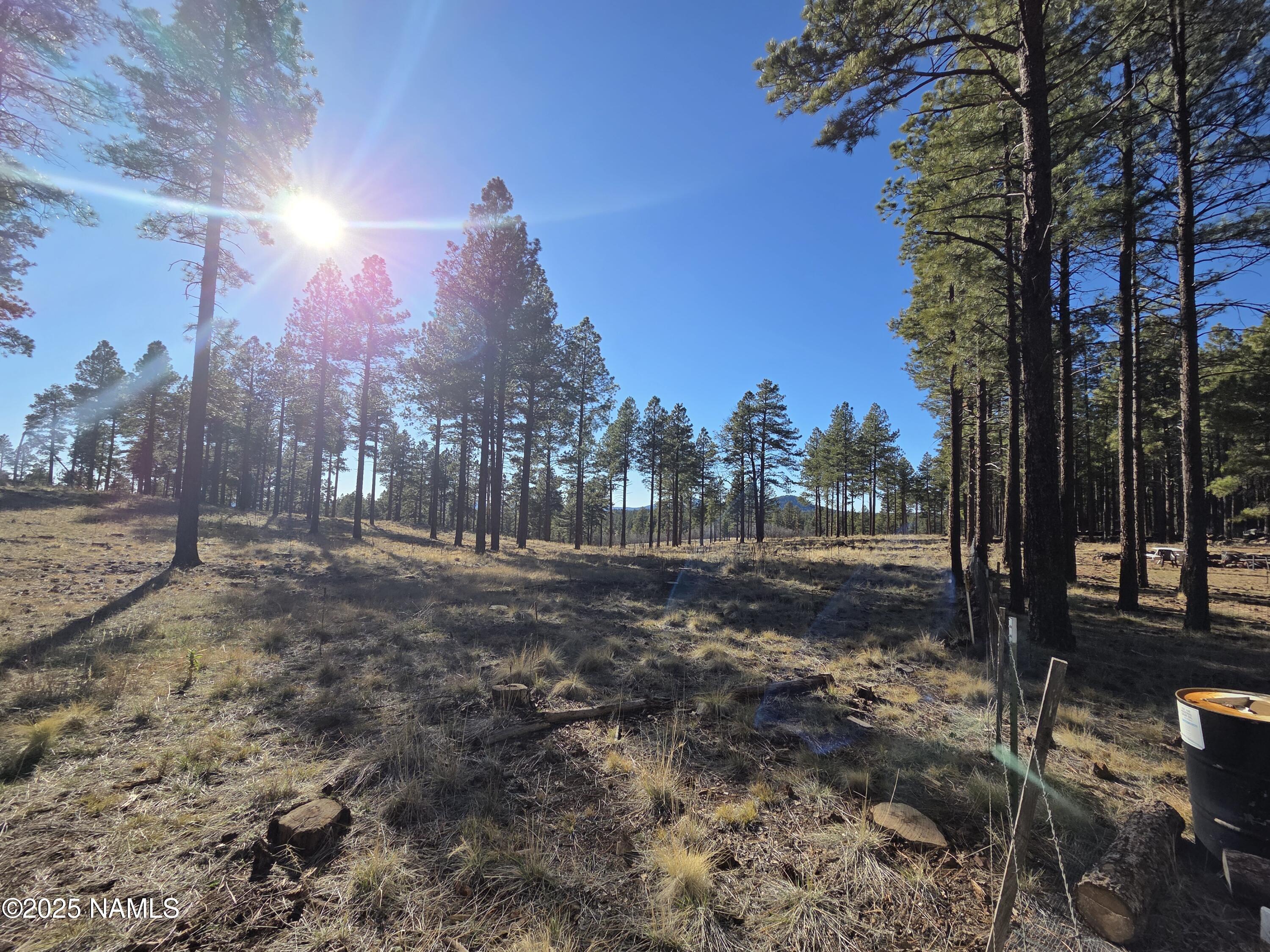 13398 Fallow Deer Road Parks, AZ 86018 - Photo 17 of 32 National Forest View SW