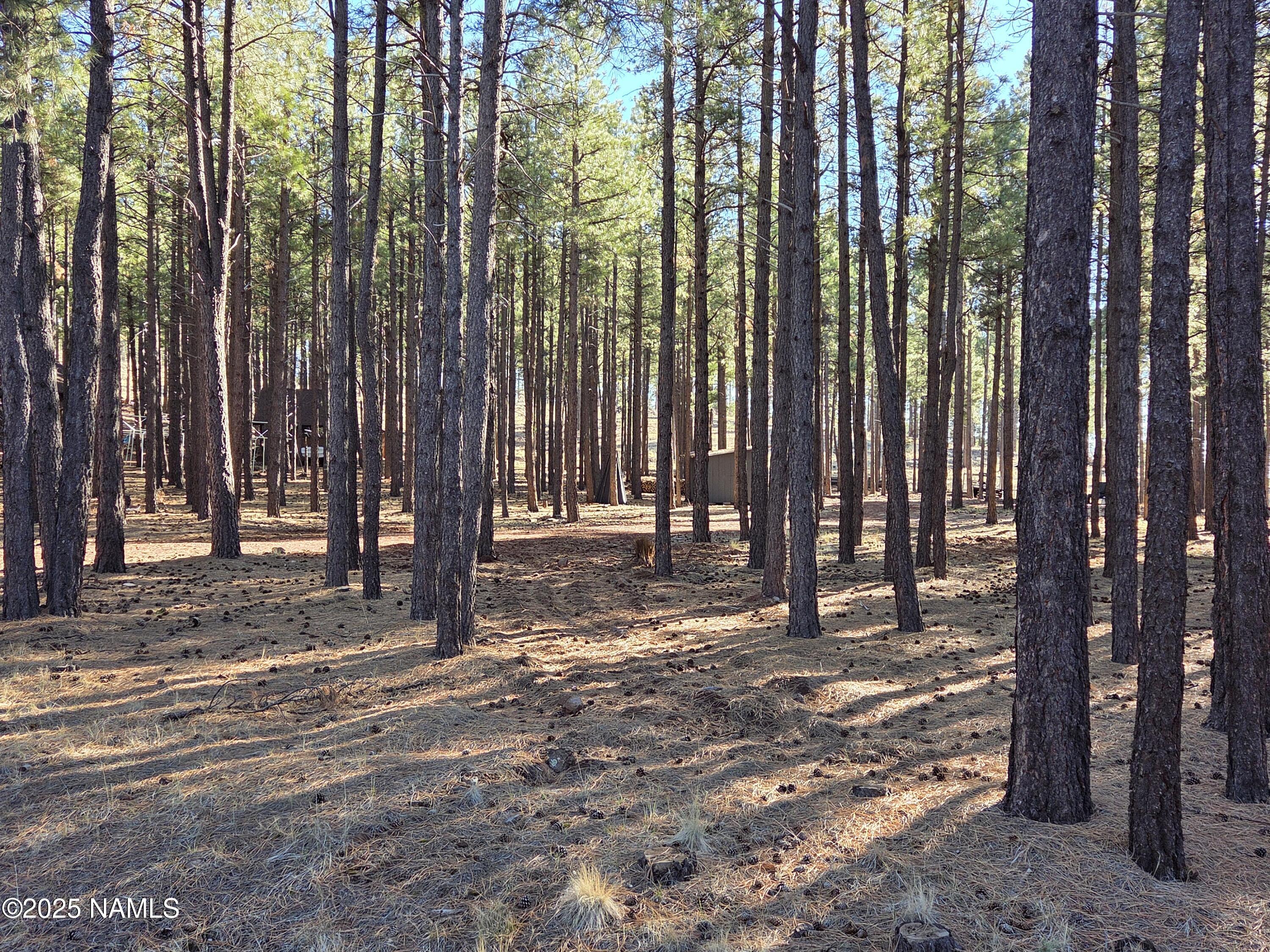 13398 Fallow Deer Road Parks, AZ 86018 - Photo 2 of 32 Street View
