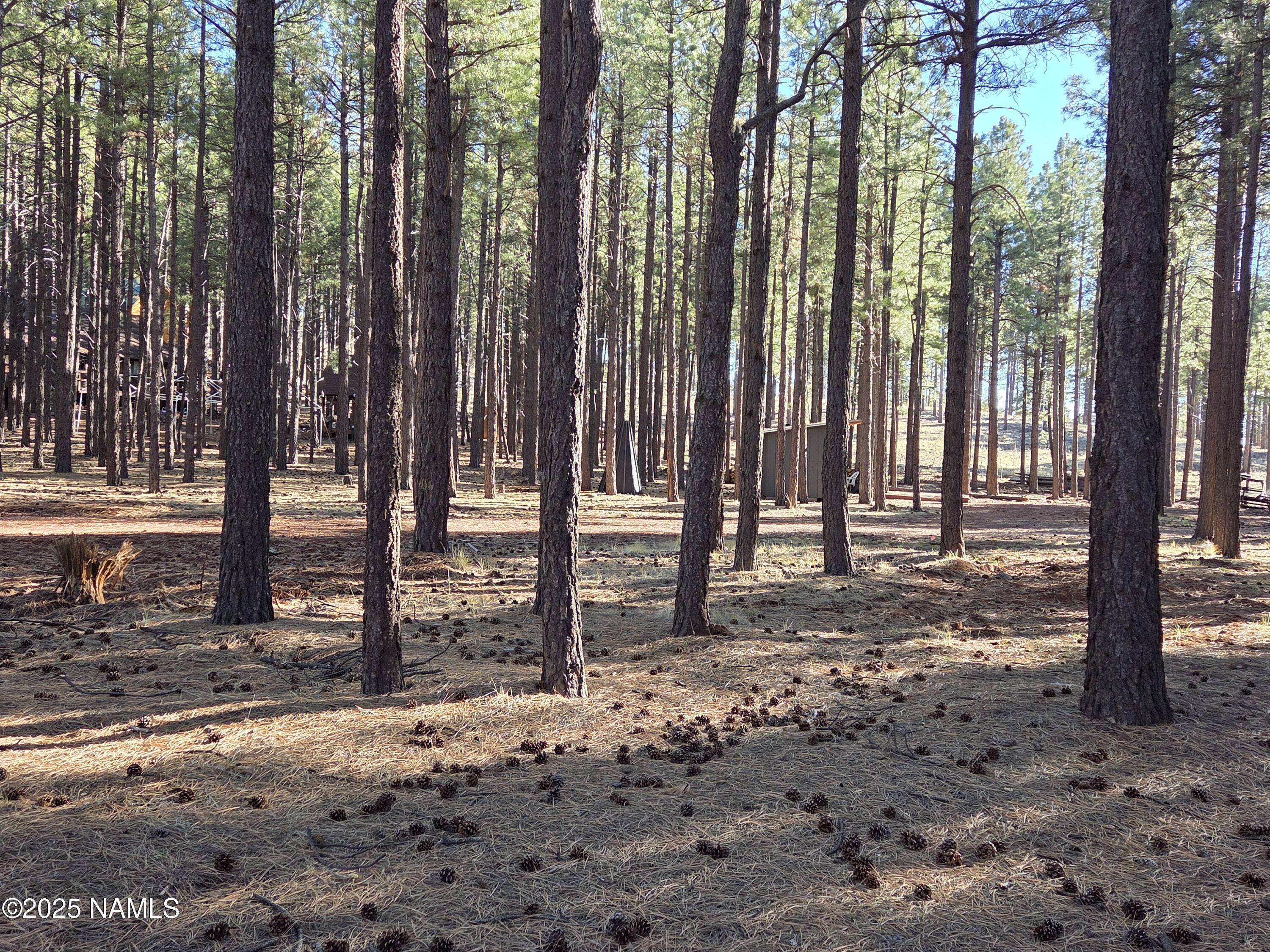 13398 Fallow Deer Road Parks, AZ 86018 - Photo 3 of 32 Towering Pines