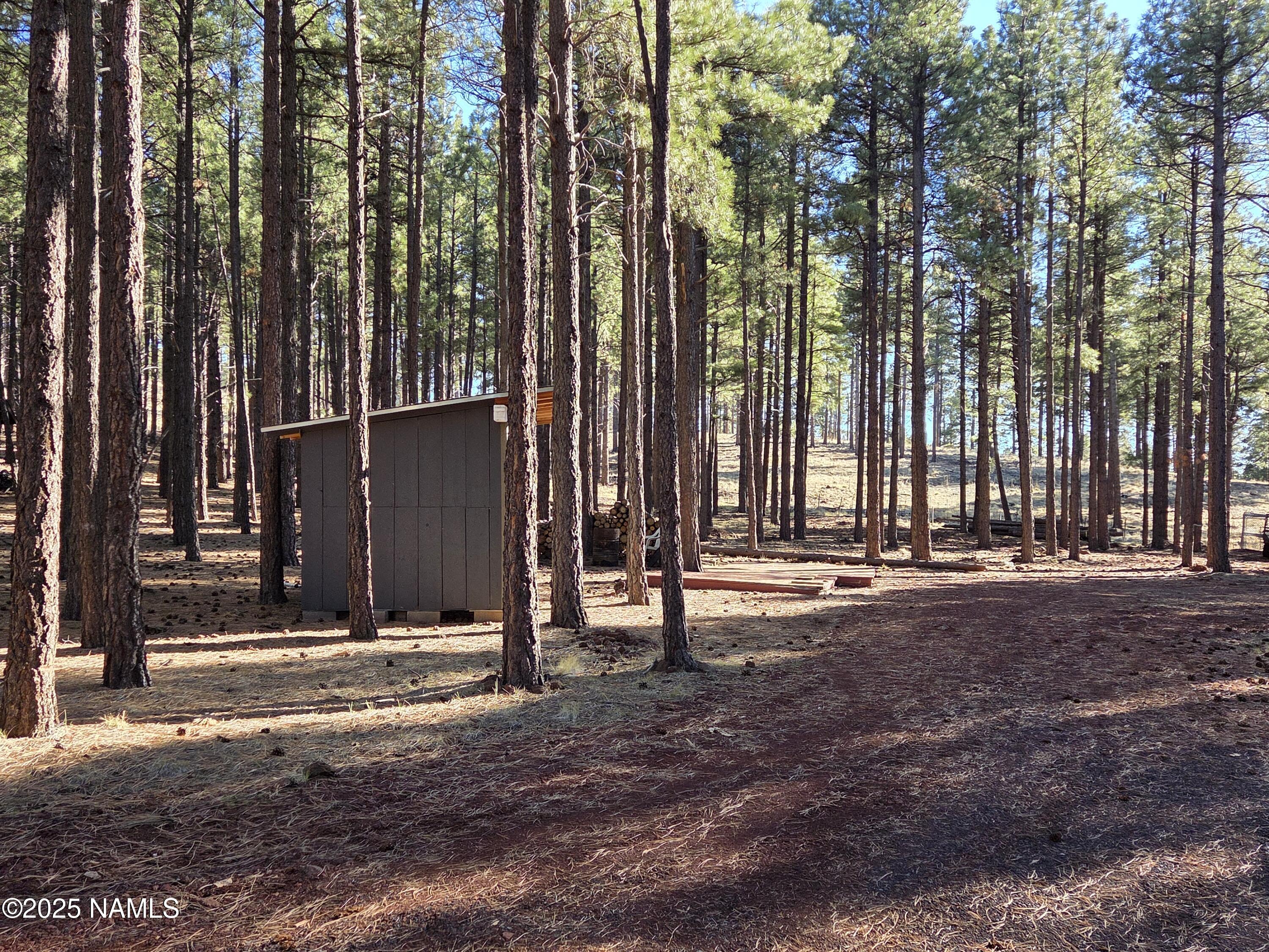 13398 Fallow Deer Road Parks, AZ 86018 - Photo 5 of 32 Driveway with Shed
