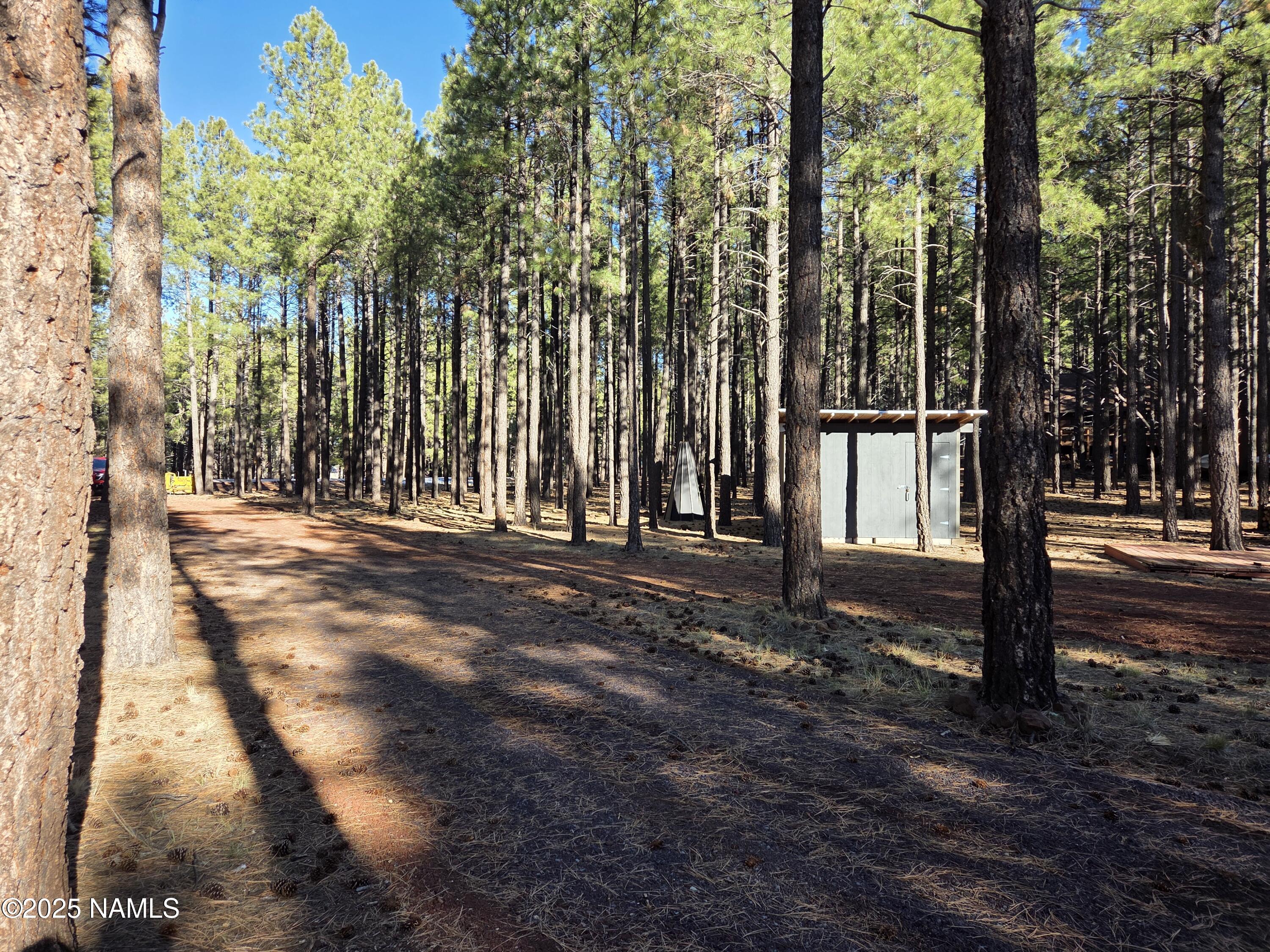 13398 Fallow Deer Road Parks, AZ 86018 - Photo 10 of 32 Driveway View