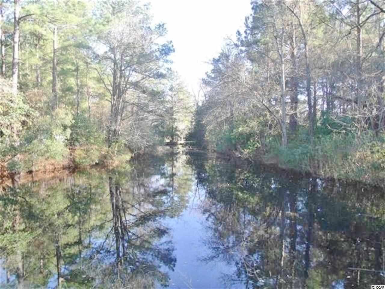 912 Futrell Street Loris, SC 29569 - Photo 15 of 15
