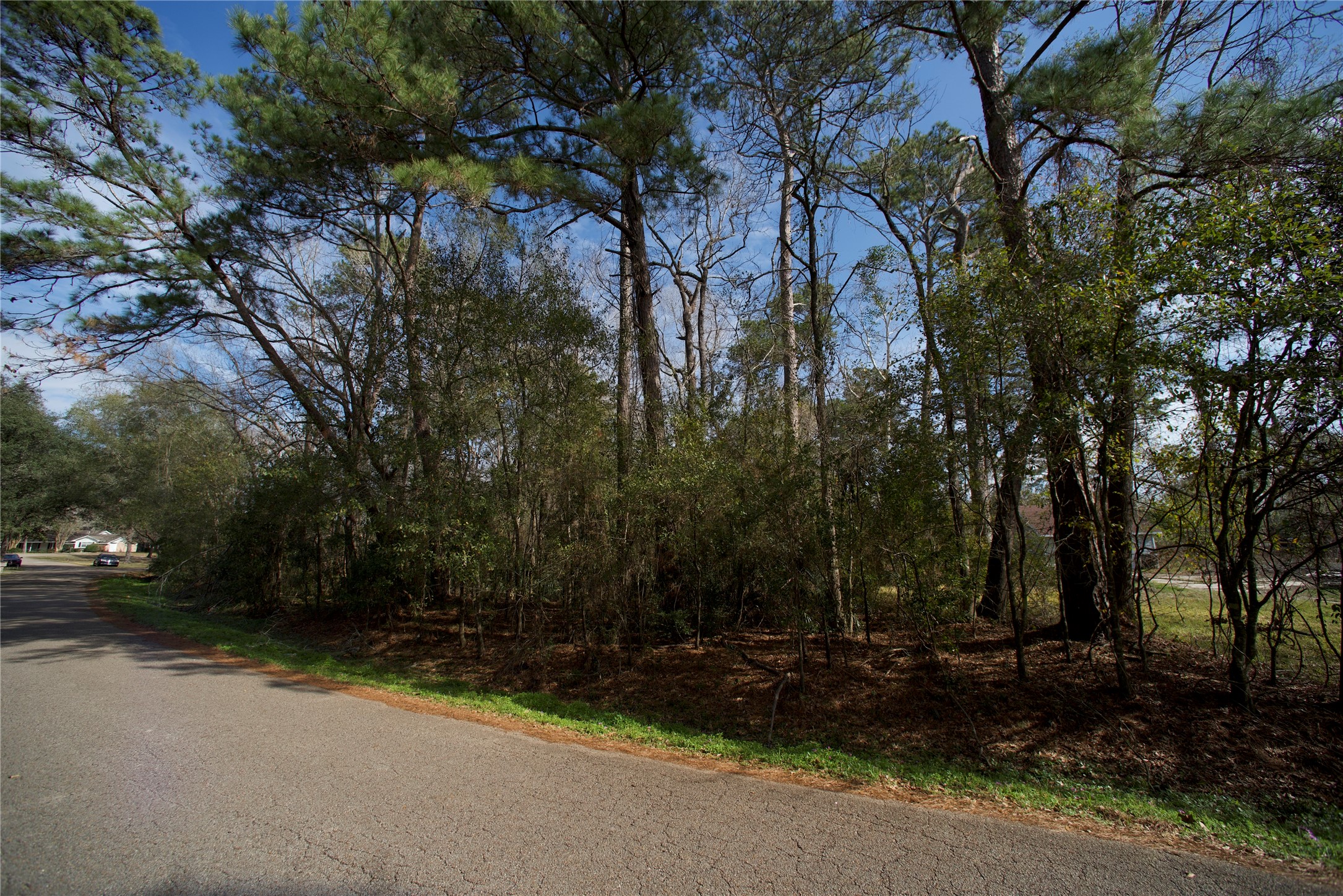 20 Brandon Road Conroe, TX 77302 - Photo 17 of 17 a view of backyard with green space