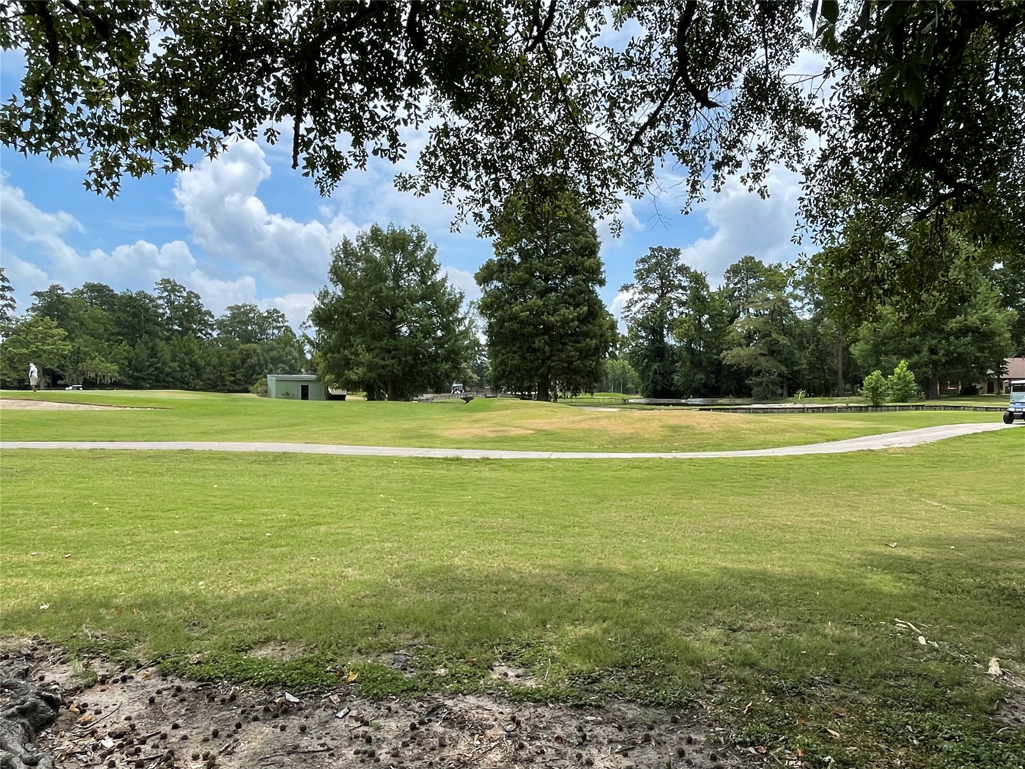 20 Brandon Road Conroe, TX 77302 - Photo 3 of 17 a view of a swimming pool with an outdoor space and seating area