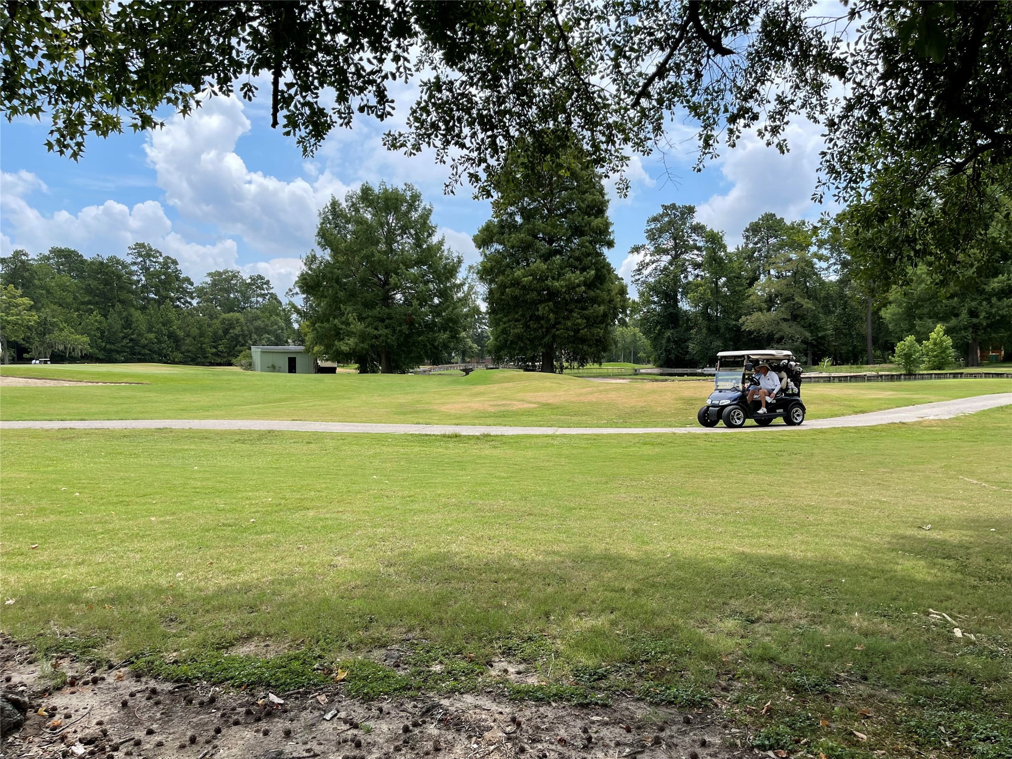 20 Brandon Road Conroe, TX 77302 - Photo 5 of 17 a view of a room with a yard and large trees