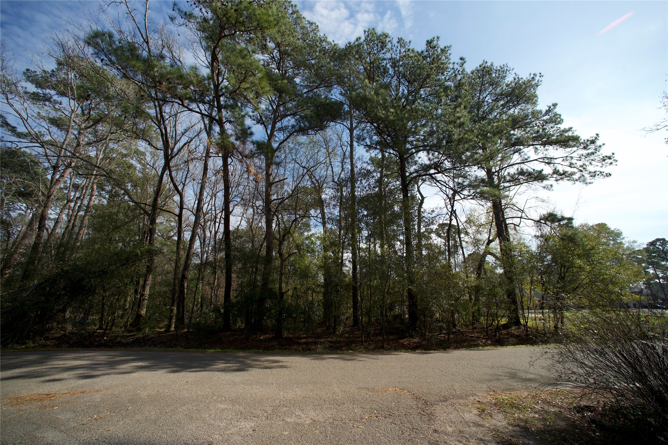 20 Brandon Road Conroe, TX 77302 - Photo 8 of 17 a view of outdoor space with trees