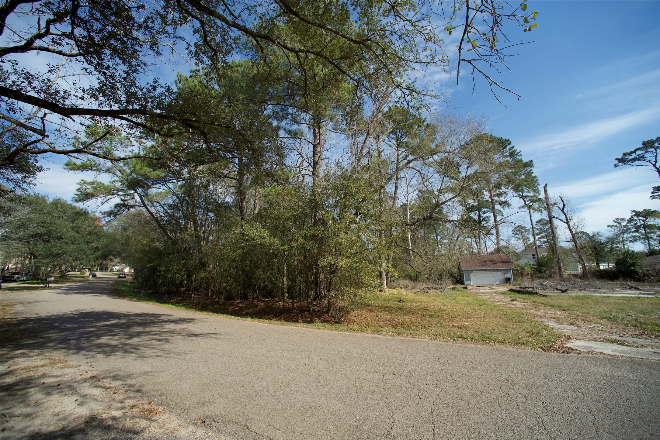 20 Brandon Road Conroe, TX 77302 - Photo 9 of 17 a view of road with with trees