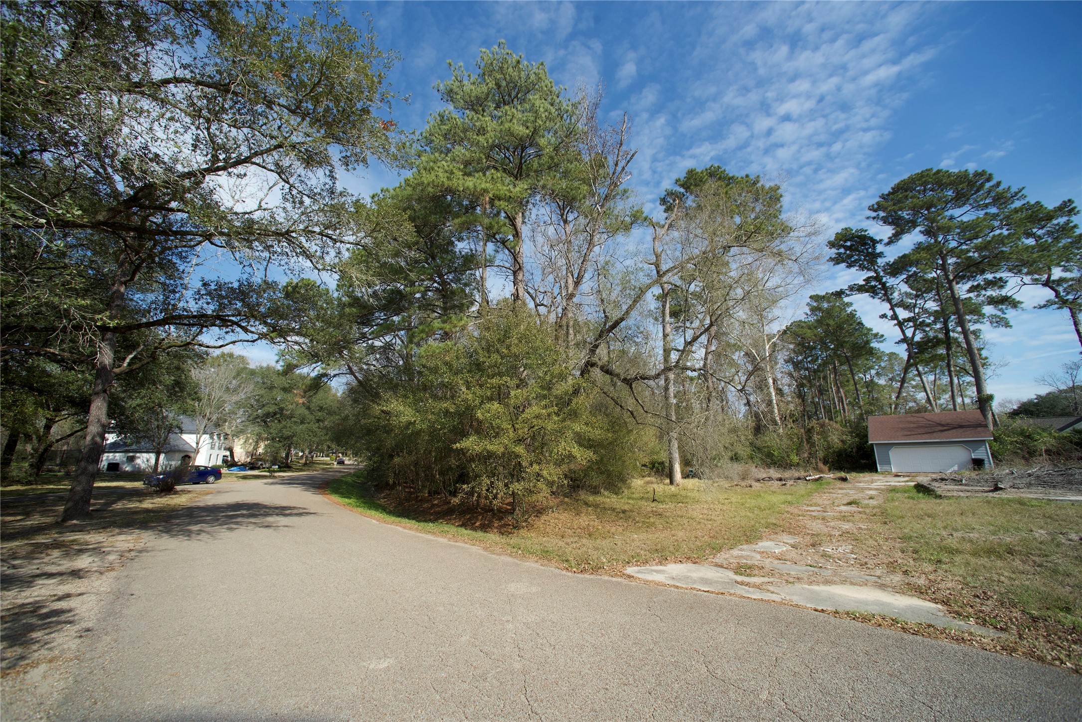 20 Brandon Road Conroe, TX 77302 - Photo 10 of 17 a couple of flower plants and trees in the background of a house