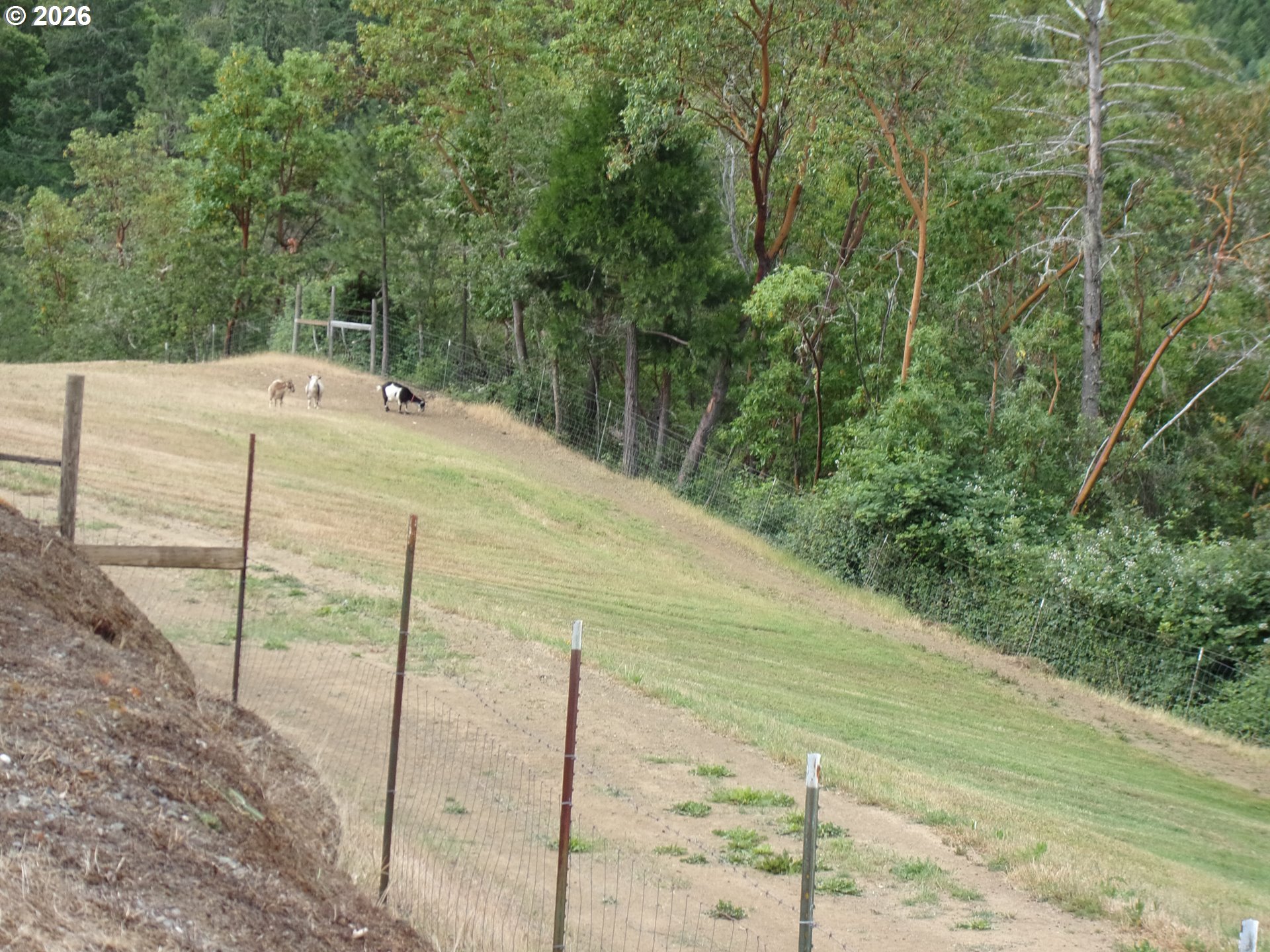 375 Jordan Creek Road Riddle, OR 97469 - Photo 26 of 35