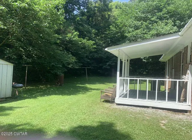 a view of a backyard with a large tree
