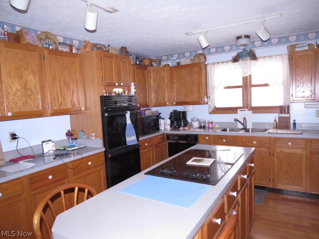 9237 Dean Road Vermilion, OH 44089 - Photo 9 of 19 2nd Kitchen View