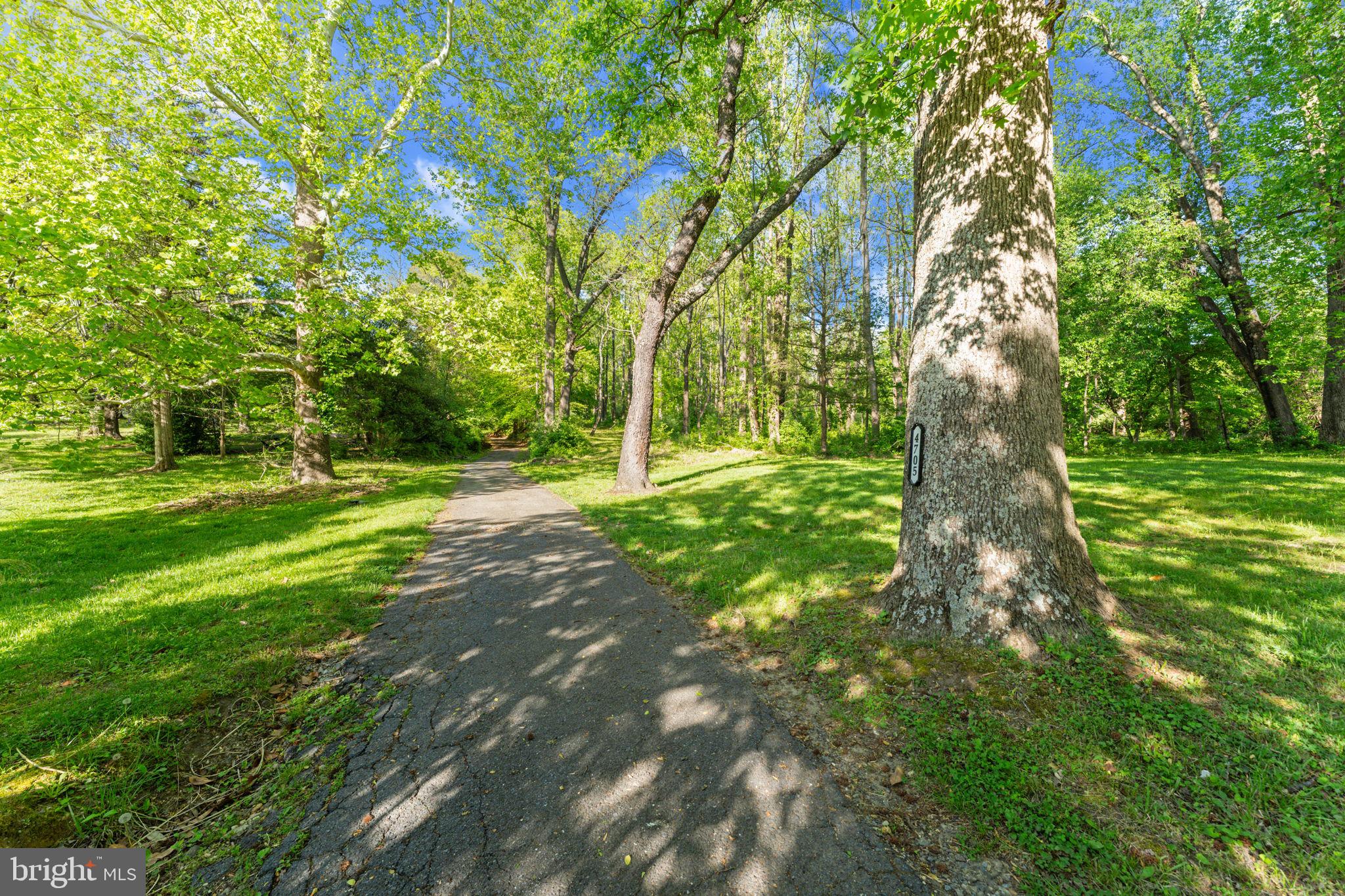 4705 Enterprise Road Bowie, MD 20720 - Photo 9 of 22