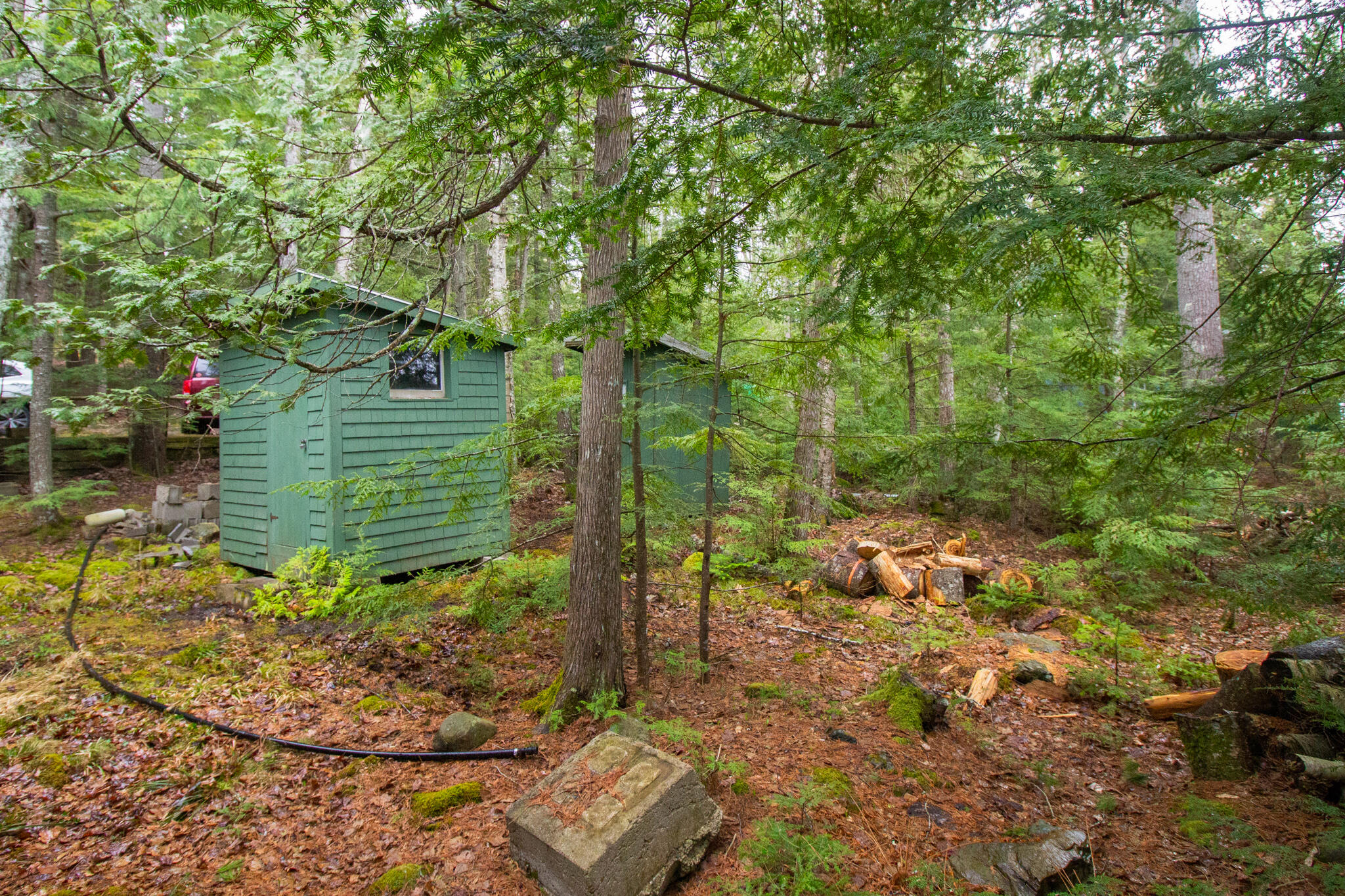 136 Holbrook Road Holden, ME 04429 - Photo 29 of 31 IMG_8510