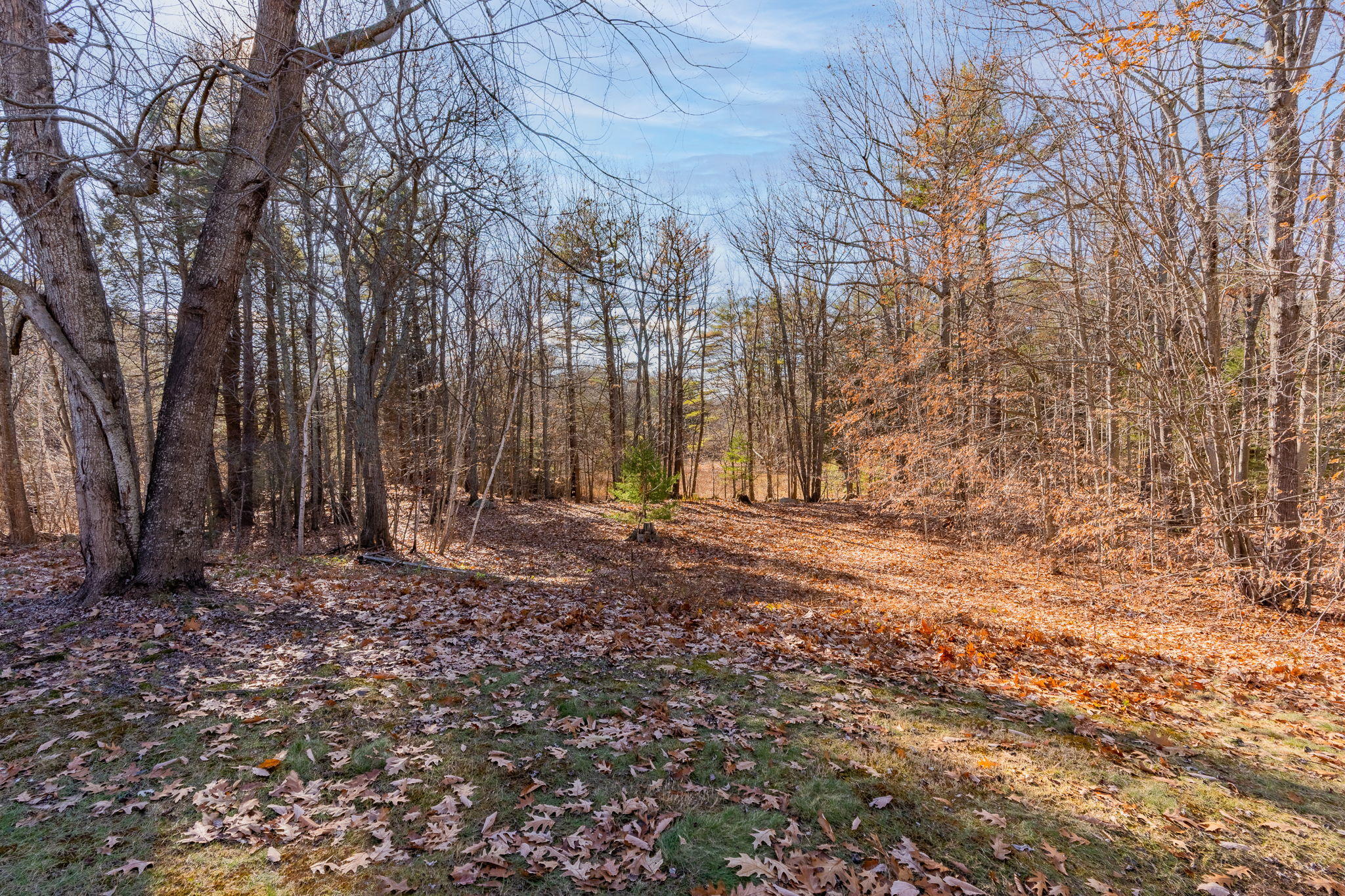 24 Old Mountain Road Cape Neddick, ME 03902 - Photo 22 of 25 23-web-or-mls-24OldMountain-4