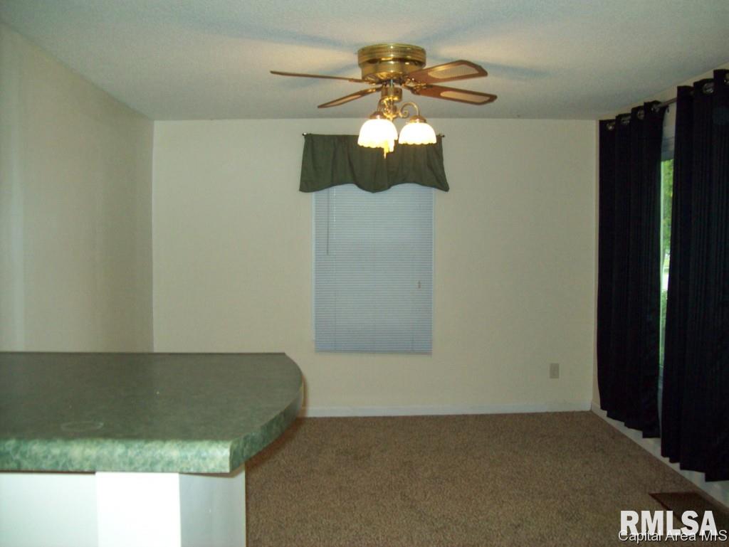 2004 North 22nd Street Springfield, IL 62702 - Photo 9 of 16