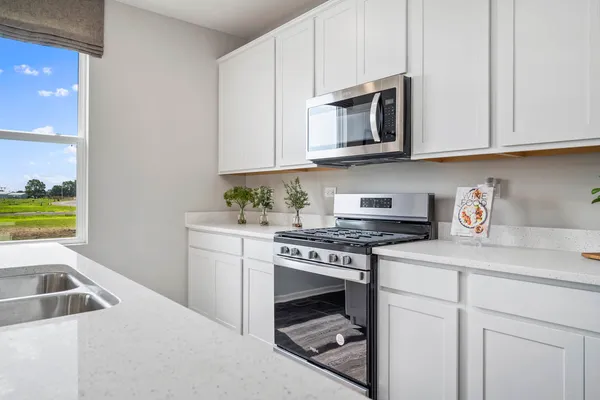 $467,990 | 26100 South Castle Boulevard, Manhattan, IL 60442