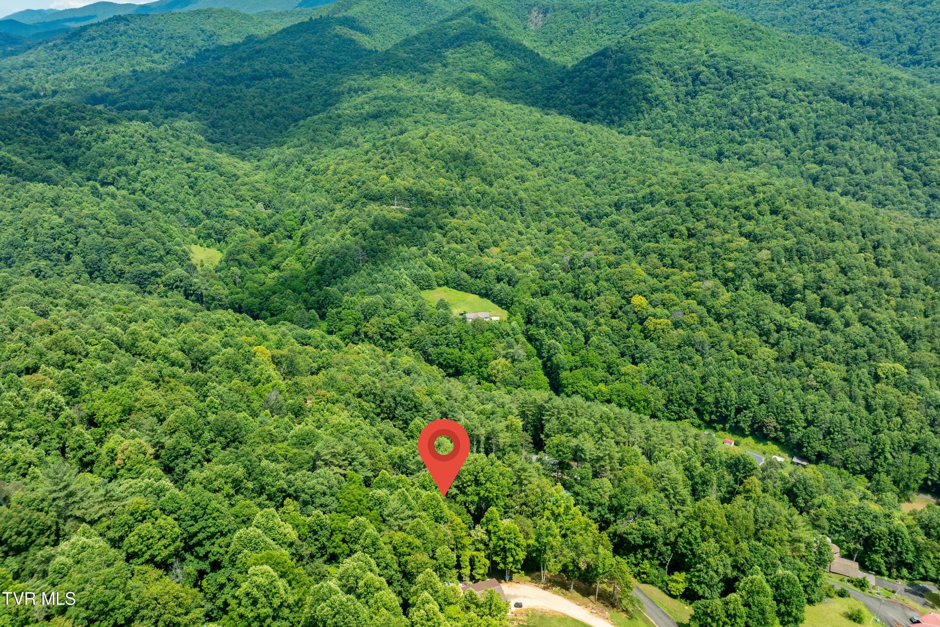 Lot 13 Lake Ridge Road, Unit 13 Butler, TN 37640 - Photo 17 of 25 Lot 13 (17 of 24)