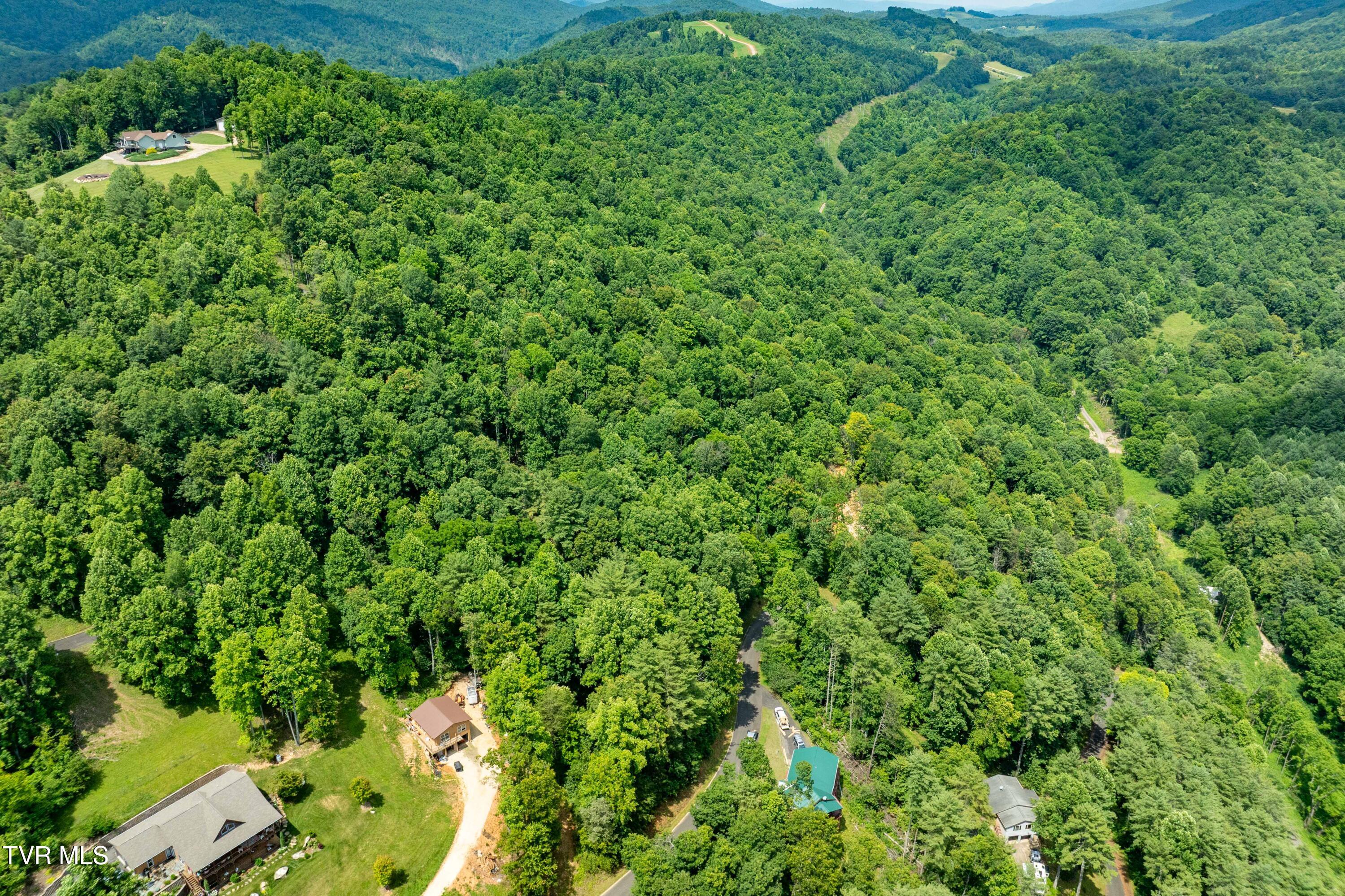 Lot 13 Lake Ridge Road, Unit 13 Butler, TN 37640 - Photo 20 of 25 Lot 13 (20 of 24)