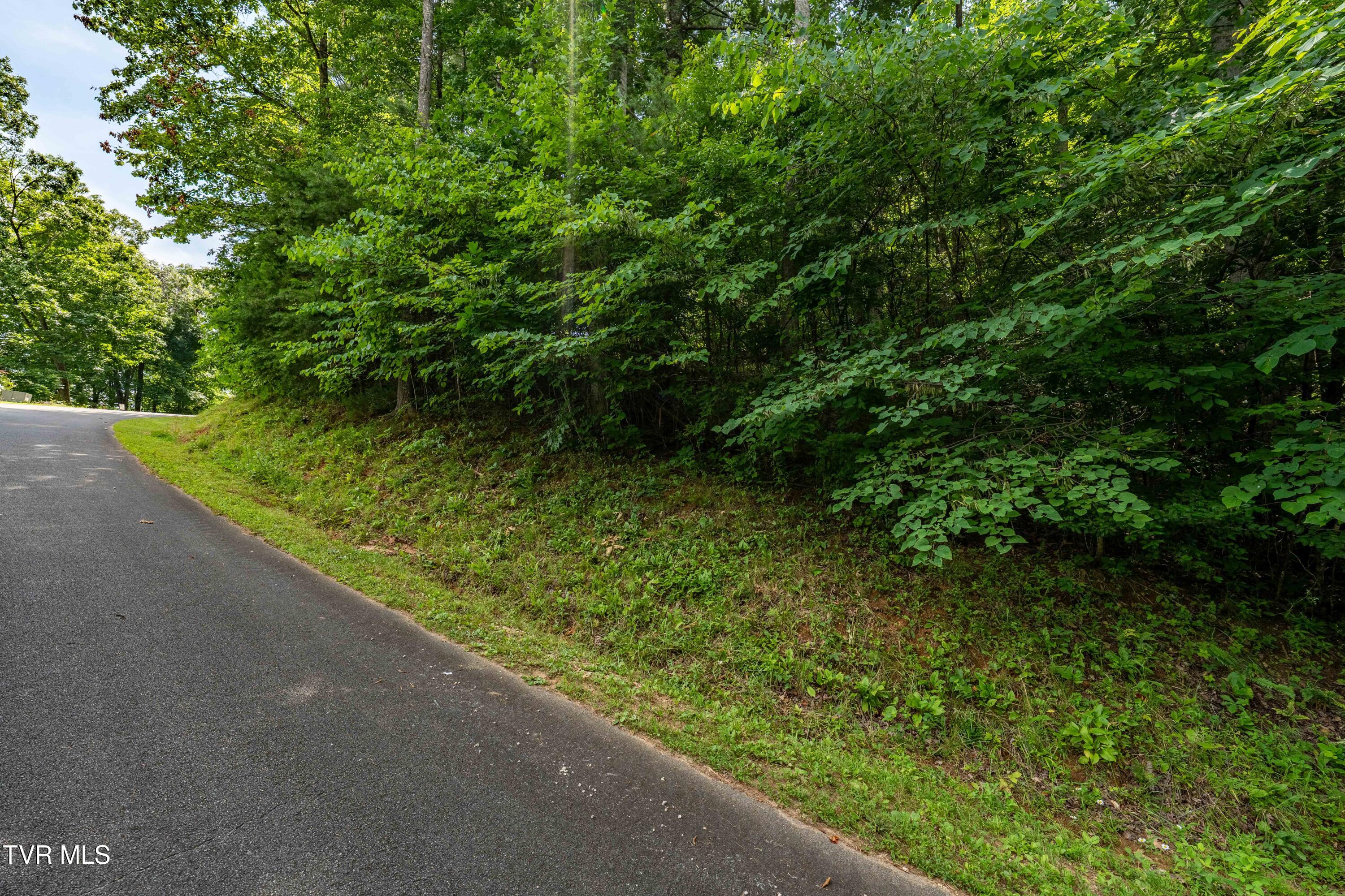 Lot 13 Lake Ridge Road, Unit 13 Butler, TN 37640 - Photo 21 of 25 Lot 13 (21 of 24)