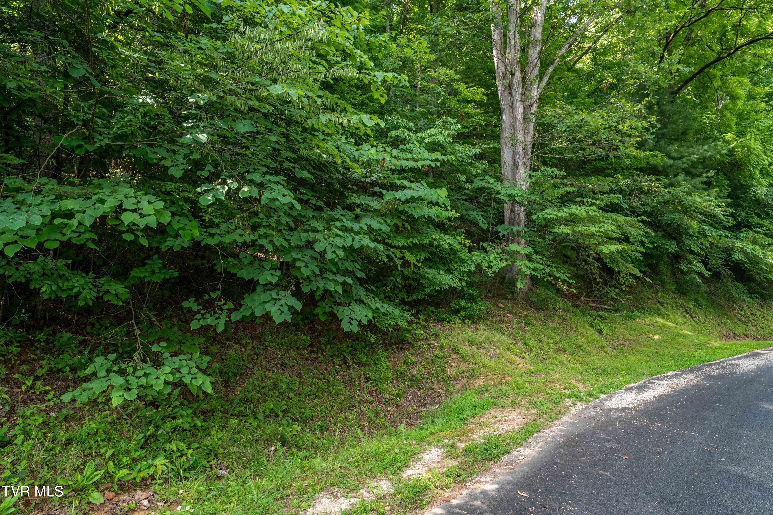 Lot 13 Lake Ridge Road, Unit 13 Butler, TN 37640 - Photo 22 of 25 Lot 13 (22 of 24)