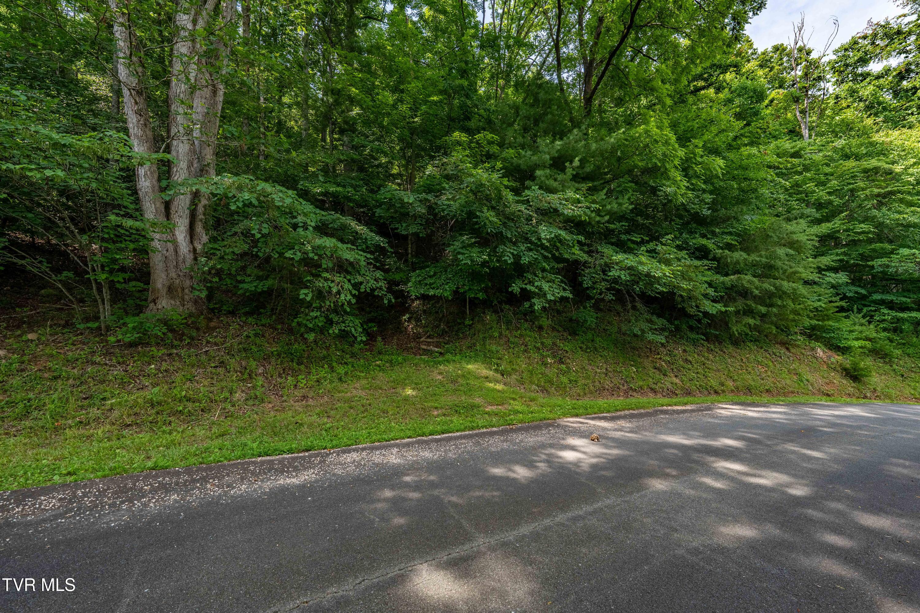 Lot 13 Lake Ridge Road, Unit 13 Butler, TN 37640 - Photo 23 of 25 Lot 13 (23 of 24)