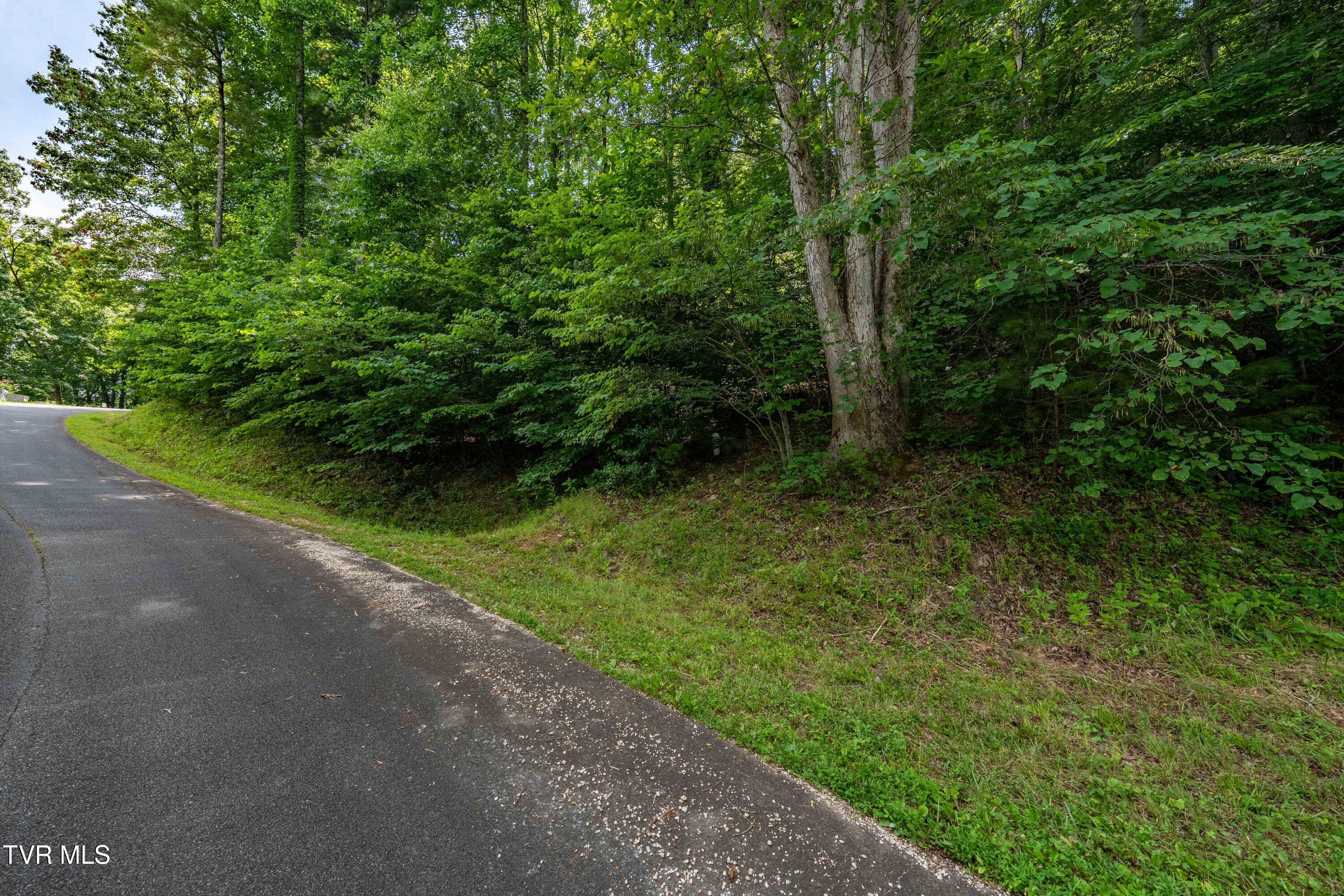 Lot 13 Lake Ridge Road, Unit 13 Butler, TN 37640 - Photo 24 of 25 Lot 13 (24 of 24)