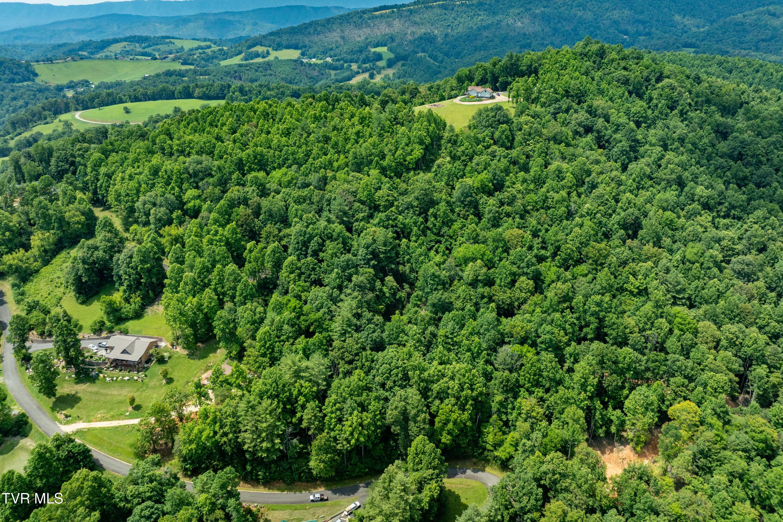 Lot 13 Lake Ridge Road, Unit 13 Butler, TN 37640 - Photo 4 of 25 Lot 13 (4 of 24)