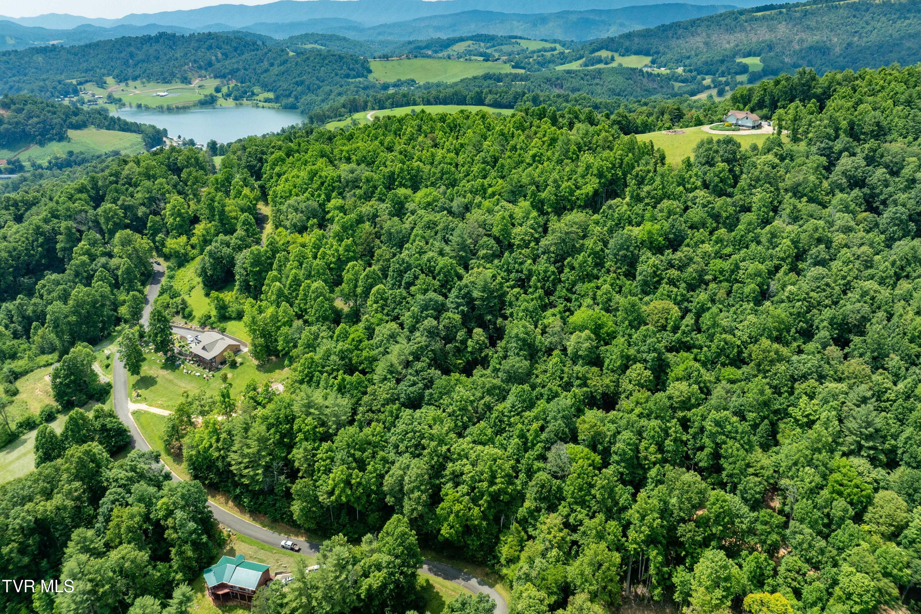 Lot 13 Lake Ridge Road, Unit 13 Butler, TN 37640 - Photo 6 of 25 Lot 13 (6 of 24)
