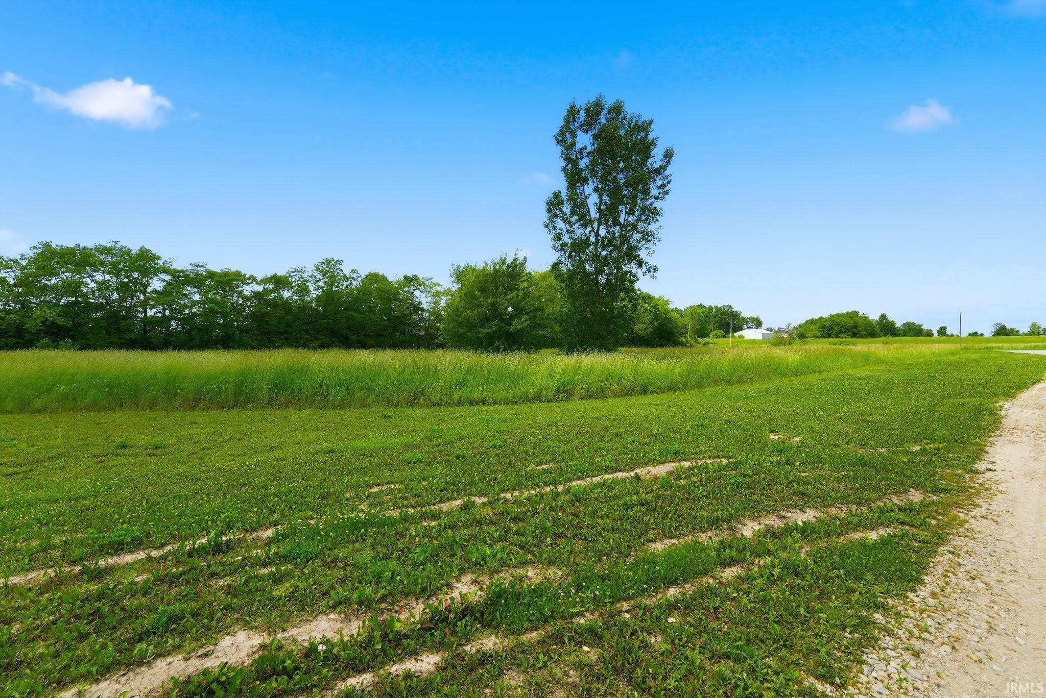 15585 West 800 Road North Gaston, IN 47342 - Photo 8 of 19