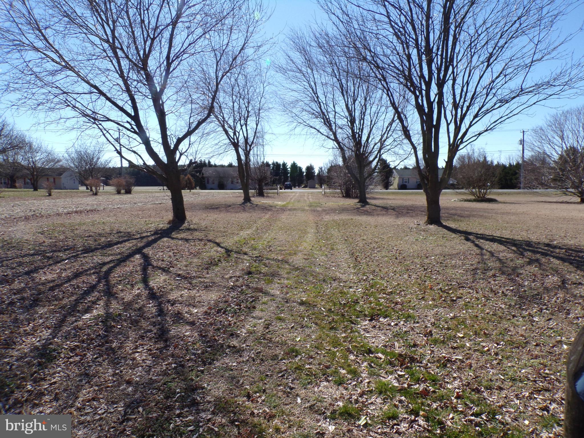 27564 Waller Road Salisbury, MD 21801 - Photo 4 of 18 Gallery Image 4