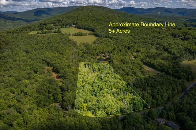$60,000 | Joe Todd Road, Fleischmanns, NY 12430