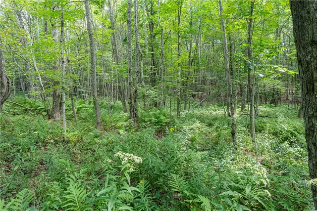 $60,000 | Joe Todd Road, Fleischmanns, NY 12430