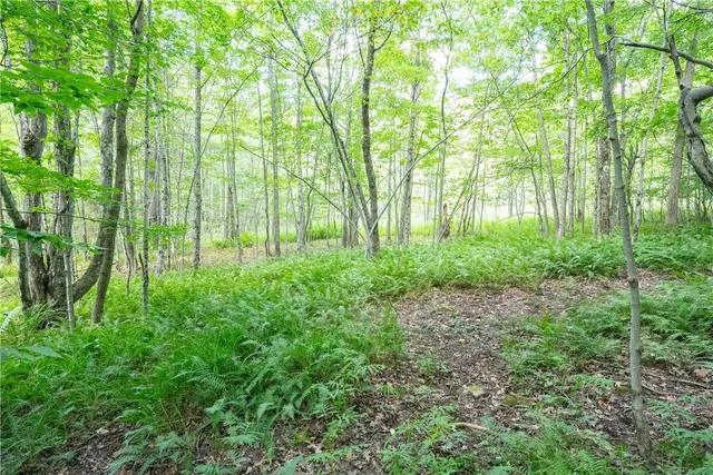 $60,000 | Joe Todd Road, Fleischmanns, NY 12430