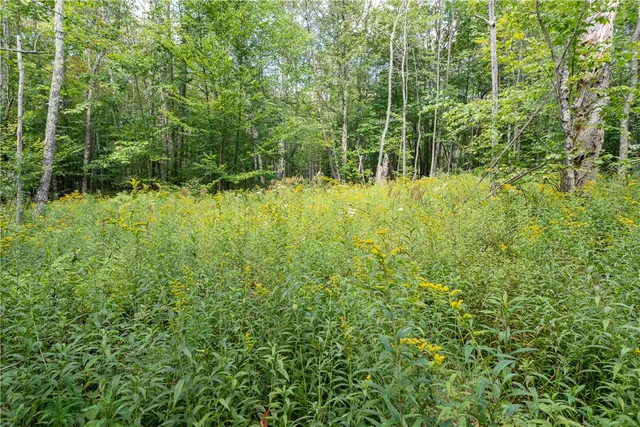 $60,000 | Joe Todd Road, Fleischmanns, NY 12430