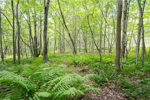 $60,000 | Joe Todd Road, Fleischmanns, NY 12430