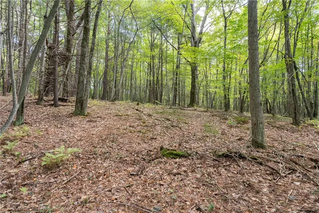 $60,000 | Joe Todd Road, Fleischmanns, NY 12430