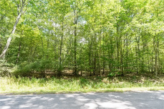 $60,000 | Joe Todd Road, Fleischmanns, NY 12430