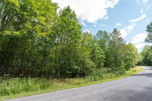 $60,000 | Joe Todd Road, Fleischmanns, NY 12430