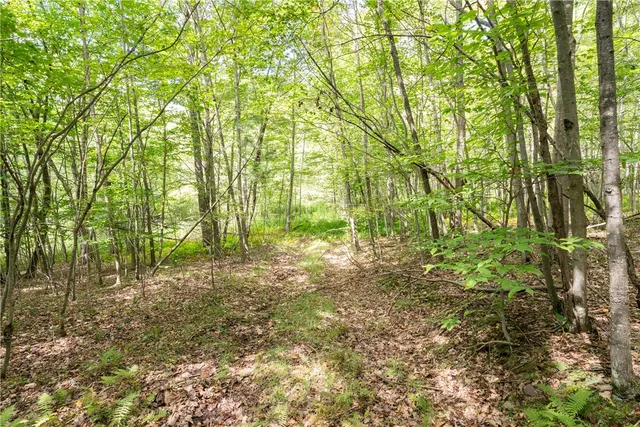 $60,000 | Joe Todd Road, Fleischmanns, NY 12430