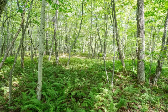 $60,000 | Joe Todd Road, Fleischmanns, NY 12430