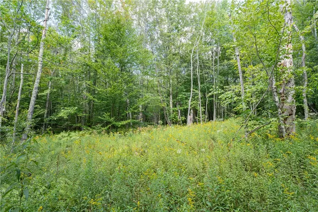 $60,000 | Joe Todd Road, Fleischmanns, NY 12430