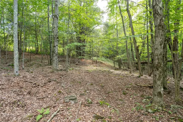 $60,000 | Joe Todd Road, Fleischmanns, NY 12430