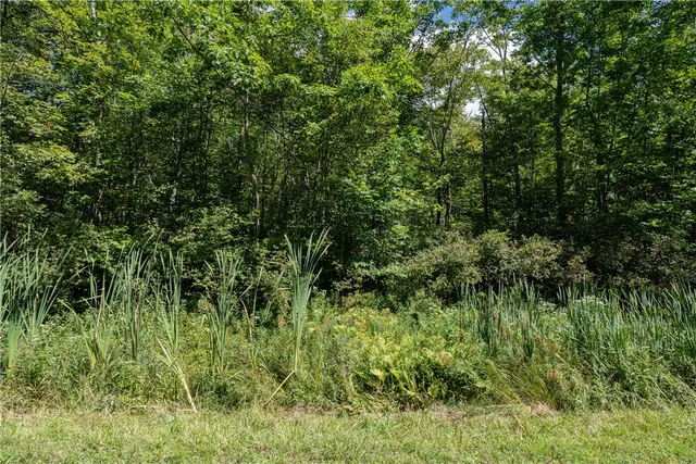 $60,000 | Joe Todd Road, Fleischmanns, NY 12430