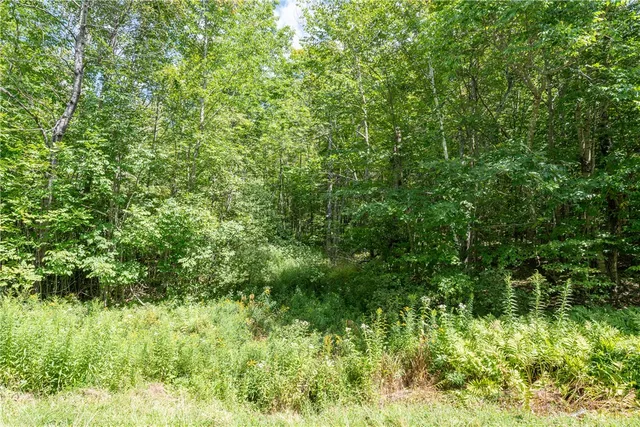 $60,000 | Joe Todd Road, Fleischmanns, NY 12430