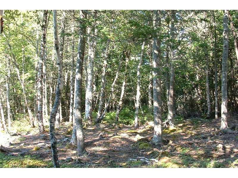 Lot 31 Yoho Head Road Machiasport, ME 04655 - Photo 3 of 9 Other.