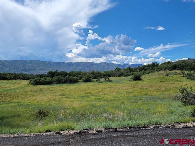 Lot 13 Purple Sage Road Durango, CO 81301 - Photo 3 of 3 Gallery Image 3