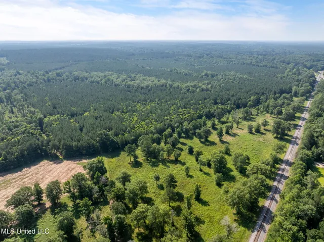 $605,000 | 121 Old Highway 49, Seminary, MS 39479