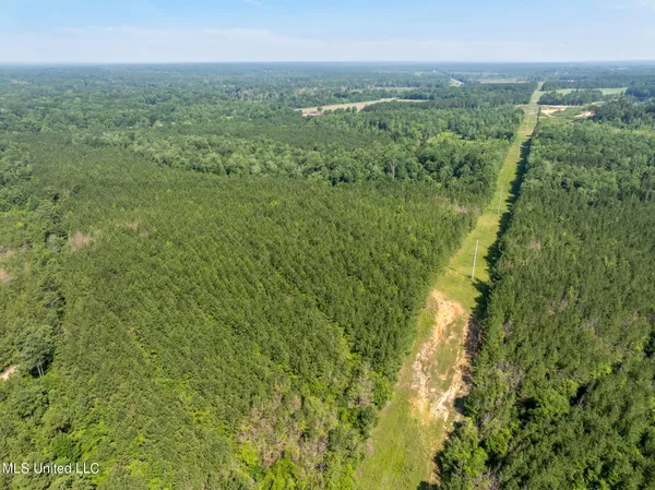 $605,000 | 121 Old Highway 49, Seminary, MS 39479